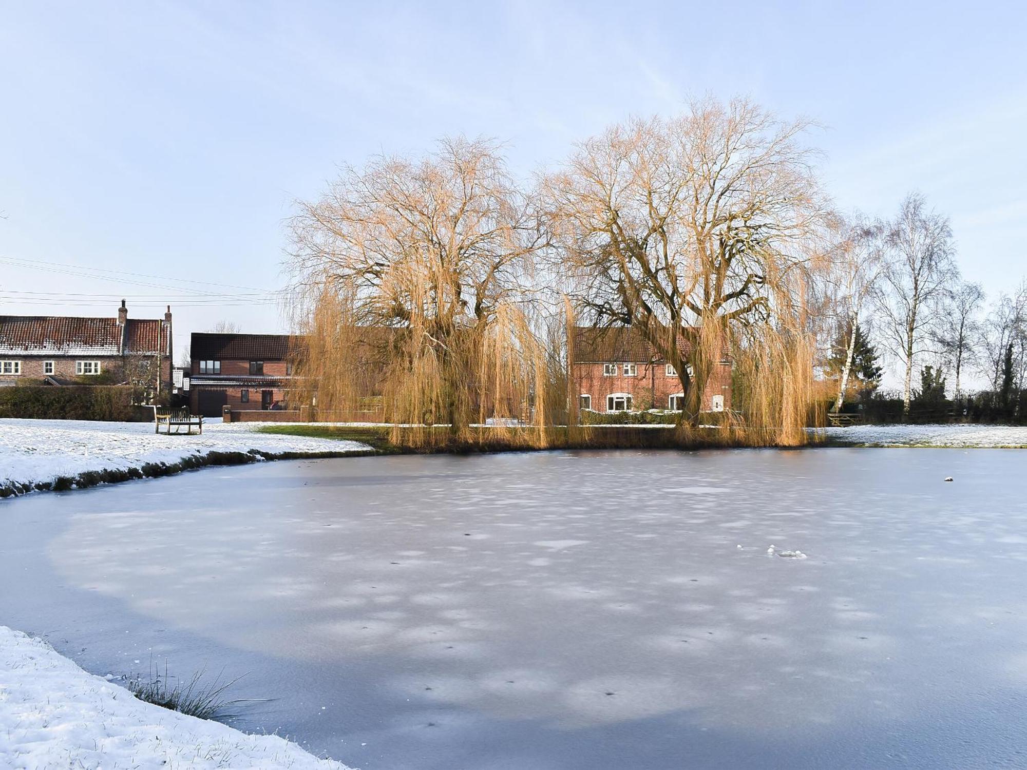 Duck Cottage Tholthorpe エクステリア 写真